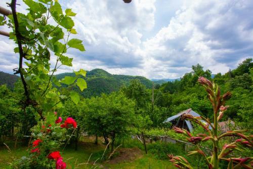 Hostal Holiday Home Lyubovo