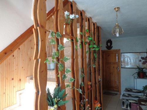 Hostal Family Hotel Ecorelax