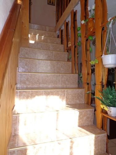 Hostal Family Hotel Ecorelax