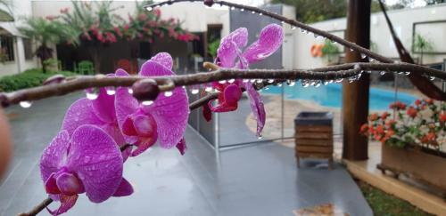 Hotel Jardim