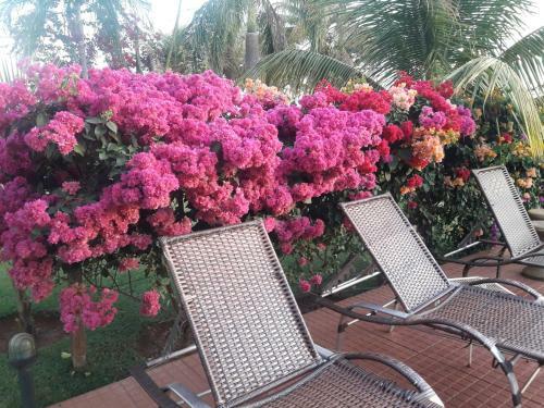 Hostal Pousada Recanto Do Sussego