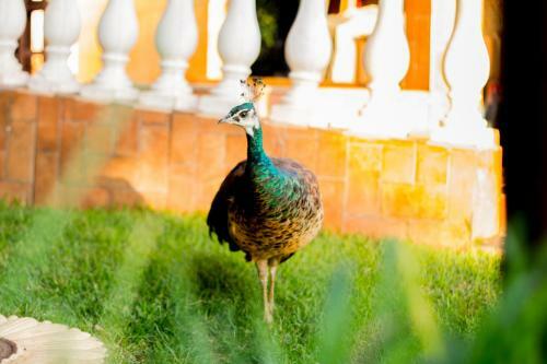 Hostal Pousada Recanto Do Sussego