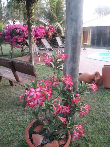 Hostal Pousada Recanto Do Sussego