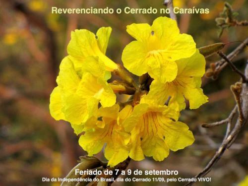 Ecovilla Cara�vas