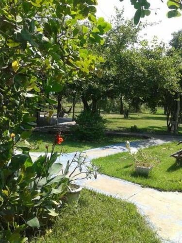 Pantanal Ocelotnatur Hotel