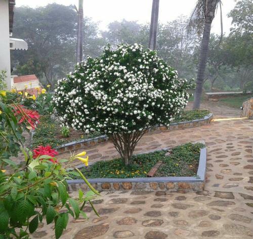 Hostal Pousada Caf� Do Brejo