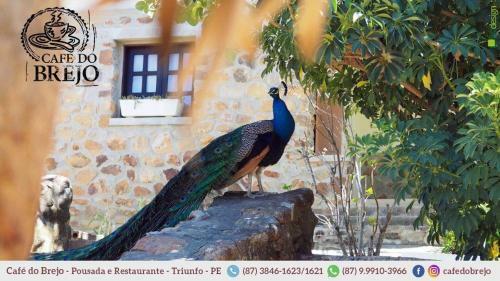 Hostal Pousada Caf� Do Brejo