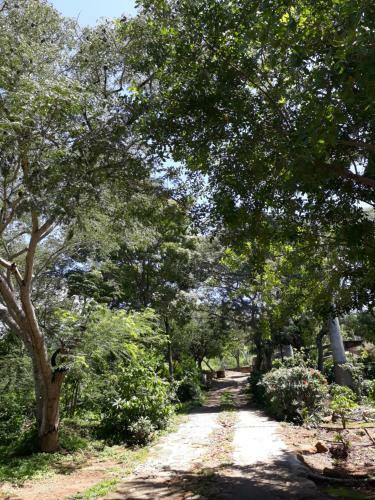 Hostal Pousada Caf� Do Brejo