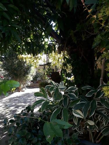 Hostal Pousada Caf� Do Brejo