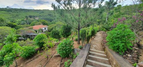 Hostal Pousada Caf� Do Brejo