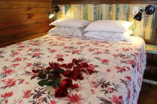 Hostal Caf� E Cabanas Lenha No Fogo