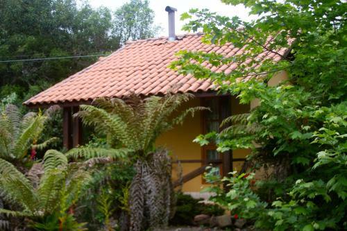 Hostal Caf� E Cabanas Lenha No Fogo