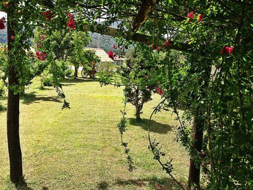 Hostal Caf� E Cabanas Lenha No Fogo