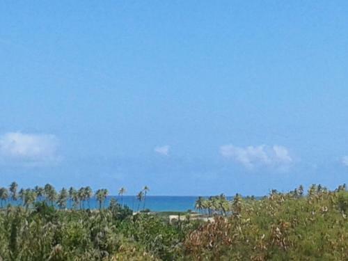 Apartamento Vila Dos L�rios