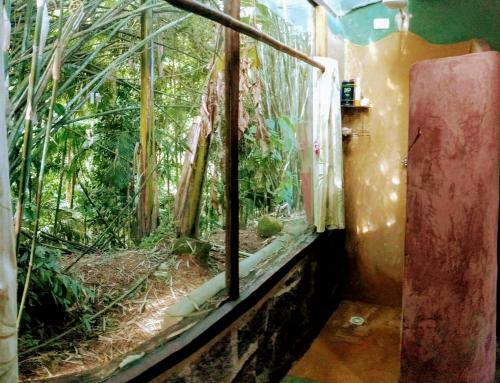 Hostel Radical Adventure