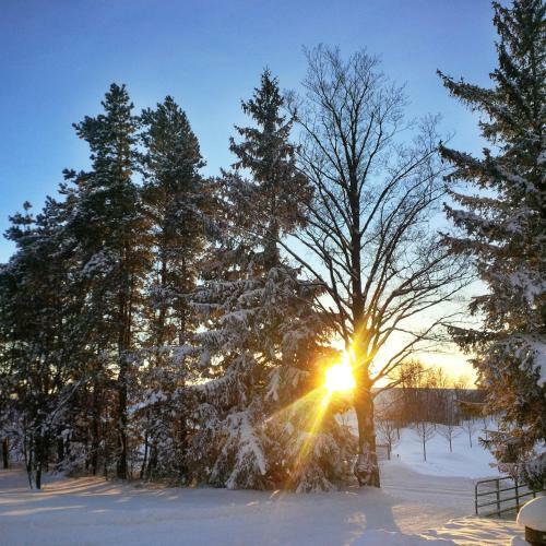 Picturesque School House Retreat