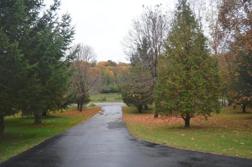 Magnolia North Bed And Breakfast (adults Only)