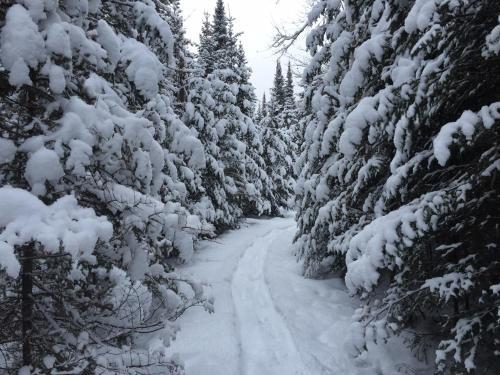 Bed & Breakfast Loft Nature Laurentides