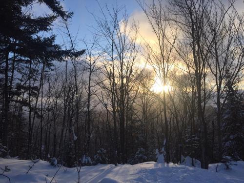Bed & Breakfast Loft Nature Laurentides