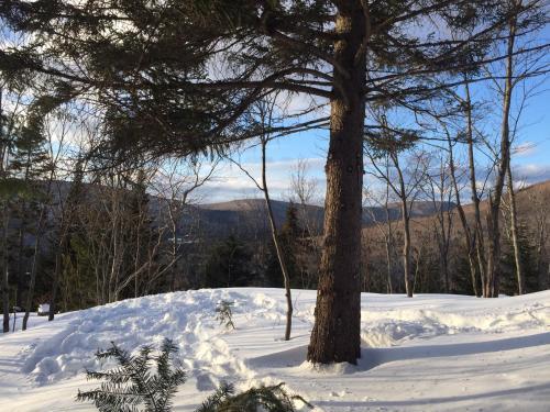 Bed & Breakfast Loft Nature Laurentides