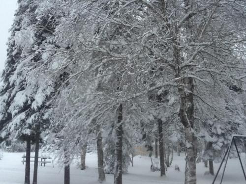 Bed & Breakfast Loft Nature Laurentides