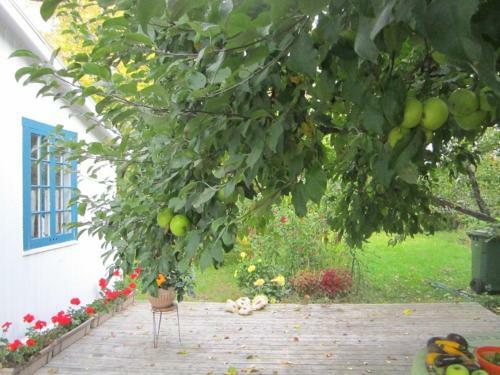Bed & Breakfast A La Crois�e Des Chemins