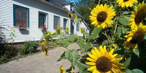 Bed & Breakfast A La Crois�e Des Chemins