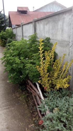 Caba�as Rhucamai
