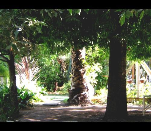 Lodge Complejo Turistico Barros