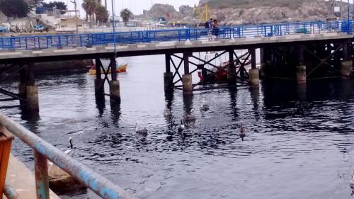 Caba�a Pichidangui