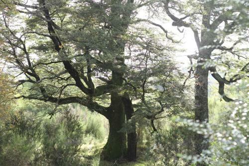 Lodge Complejo Tur�stico Ra�intu Epupillan