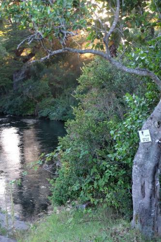 Lodge Complejo Tur�stico Ra�intu Epupillan