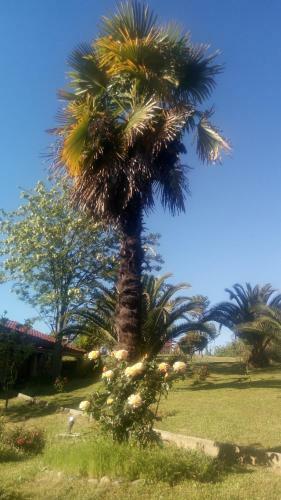 Caba�as El Mediteraneo