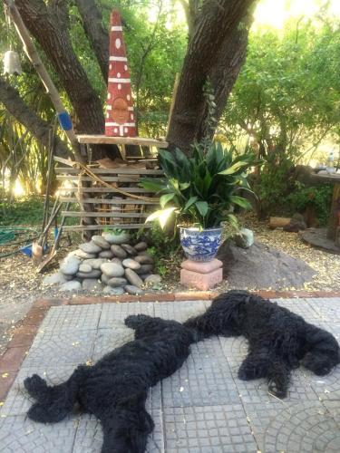 Maipo Shanti Lodge