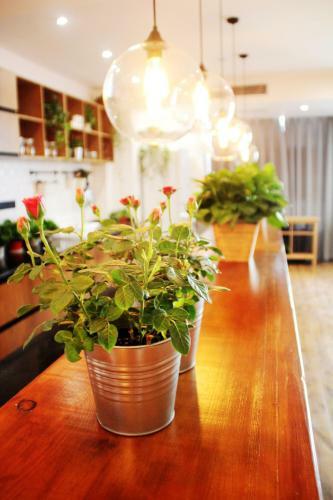 Naweiya Art Hotel