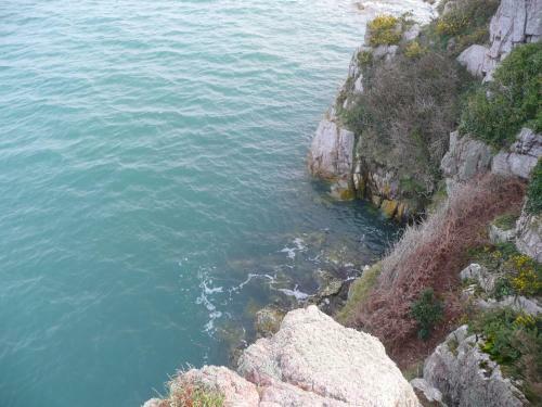 Hotel H�tel Les Agapanthes