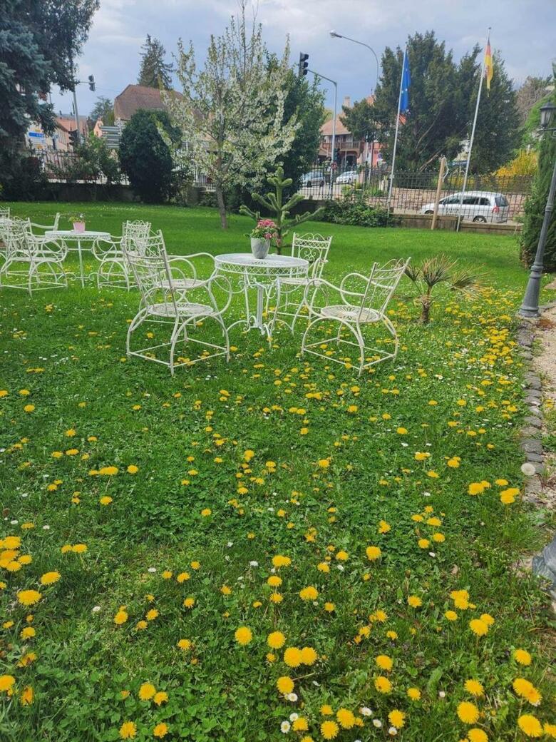 Hotel Le Manoir