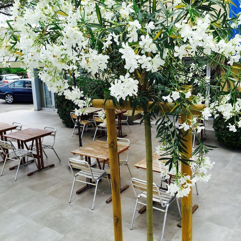 Hotel Am�rique H�tel