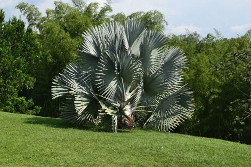 Finca Hotel Santana Campestre