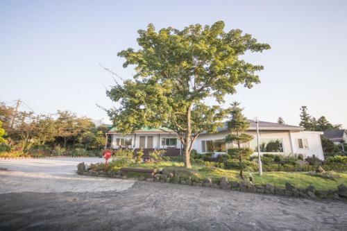 Sunyang Village Pension