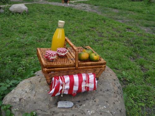 Glamping El Establo