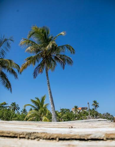 Bed & Breakfast Sal Si Puedes