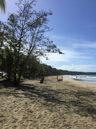 Hotel Cabinas Ole Caribe