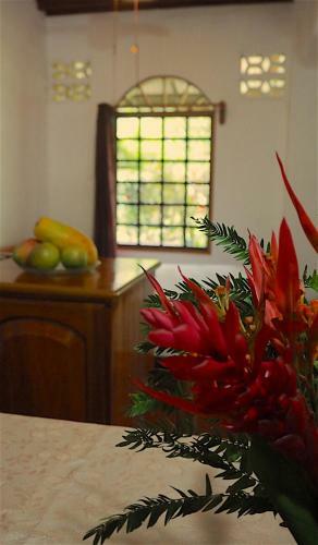 Apartamento Hacienda De Los Suenos
