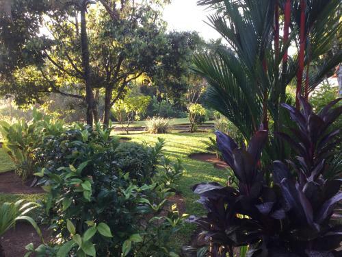Apartamento Hacienda De Los Suenos