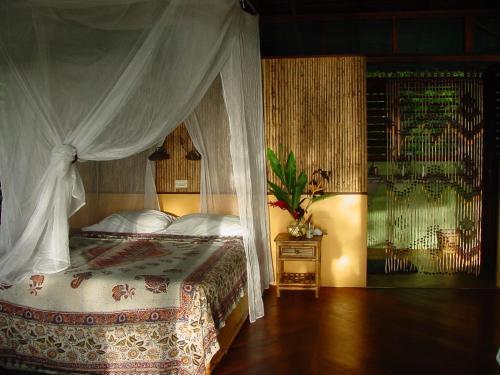 Hotel Iguana Lodge Beach Resort And Spa