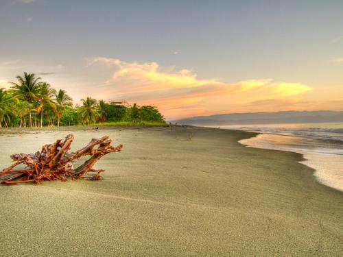 Hotel Iguana Lodge Beach Resort And Spa