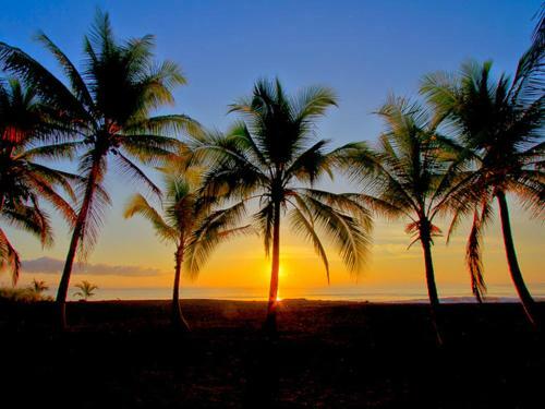 Hotel Iguana Lodge Beach Resort And Spa
