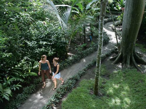 Hotel Iguana Lodge Beach Resort And Spa