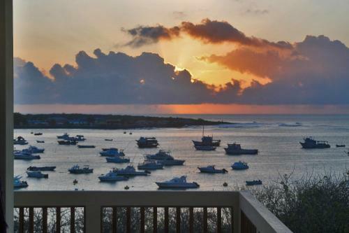 Apartamento The Galeodan Suites
